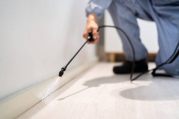 Rodent Entry Point Assessment in Greenfield