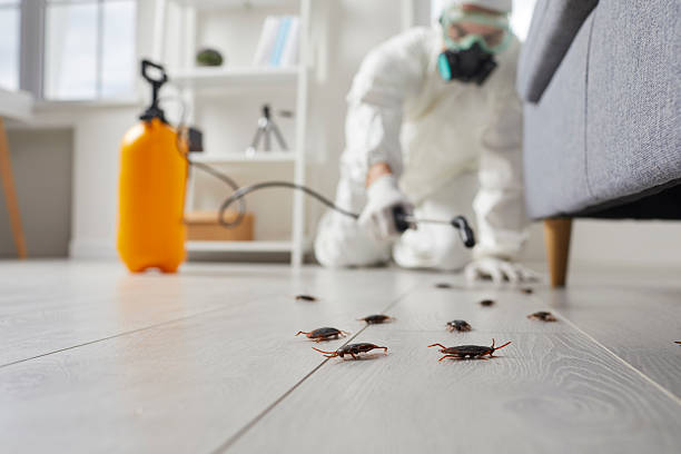 Commercial Rodent Management in Greenfield